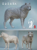 Arctic Wolf Family Model