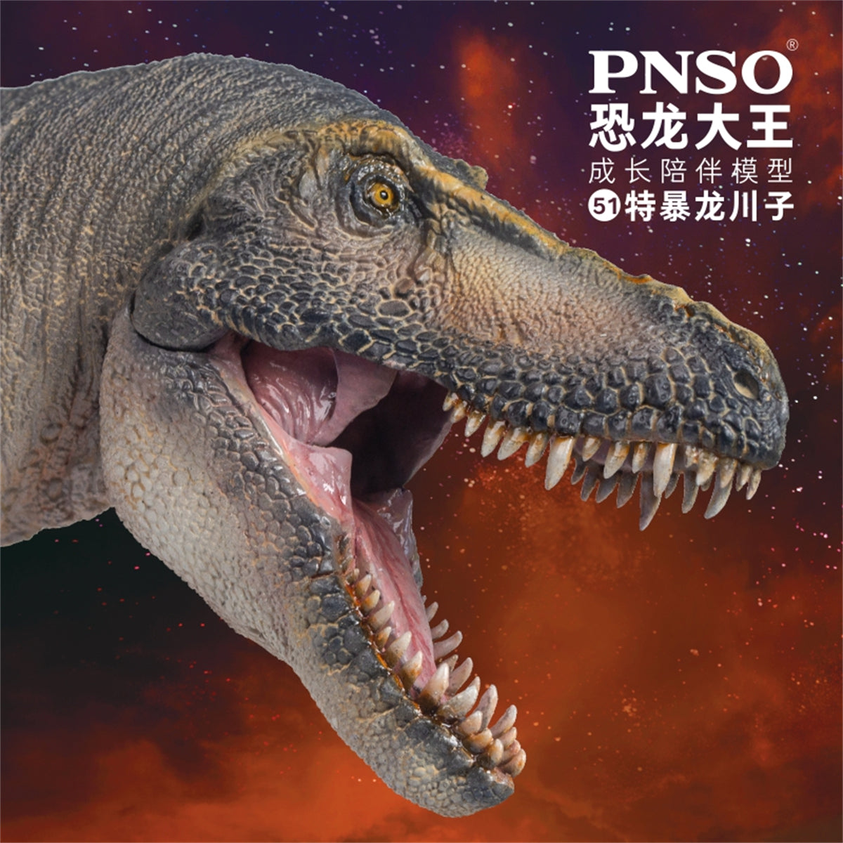 PNSO Tarbosaurus Chuanzi Model