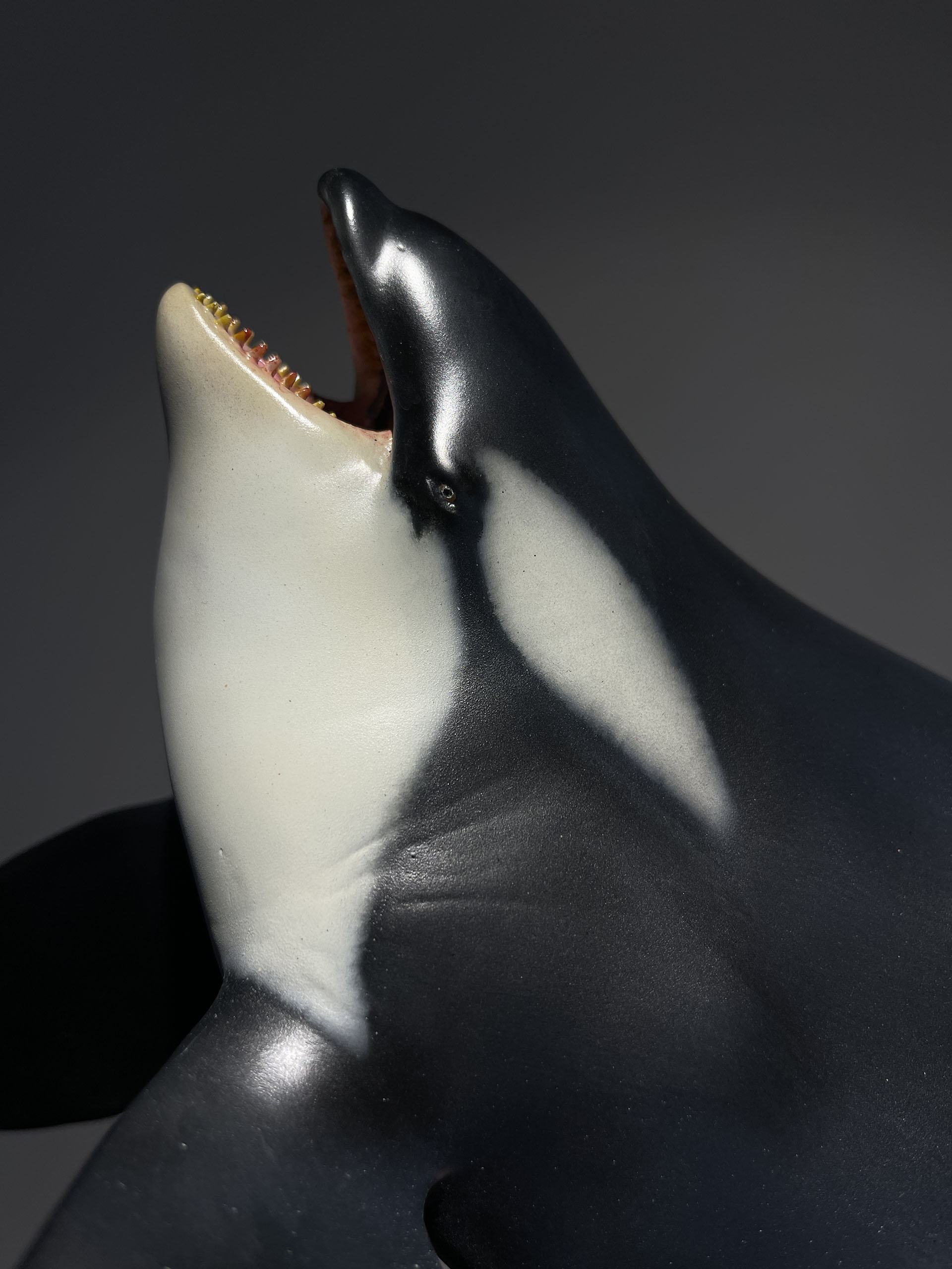 Memory Museum 1/15 Killer Whale Statue