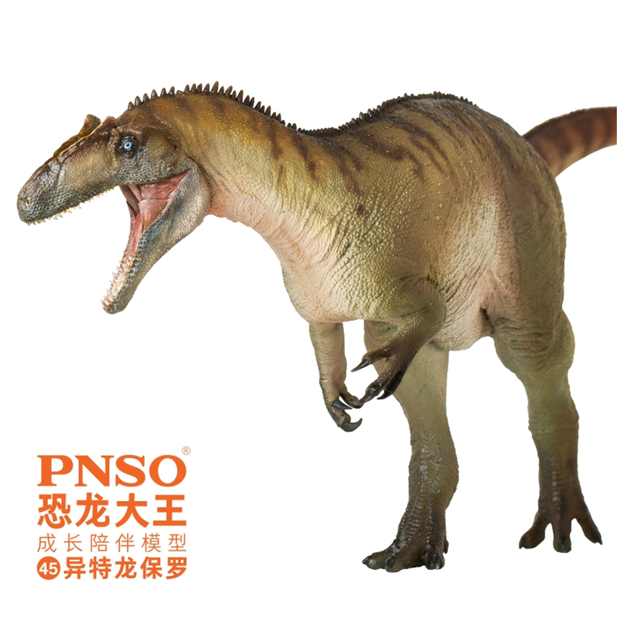 PNSO Allosaurus Paul Model