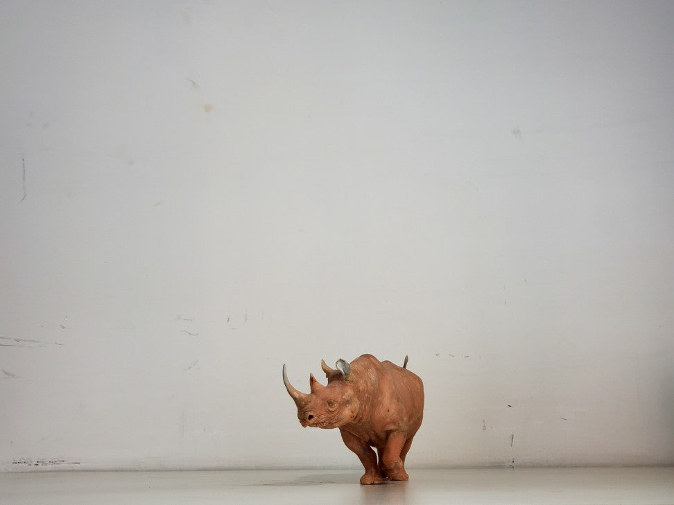 tunan Black Rhino Model