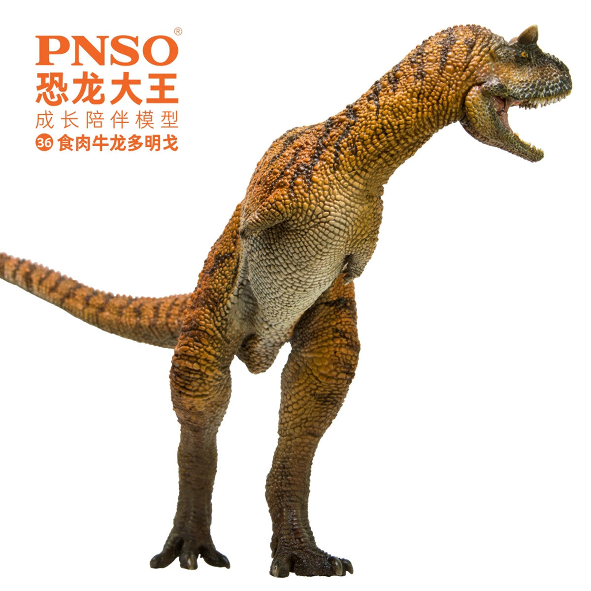 PNSO Carnotaurus Model