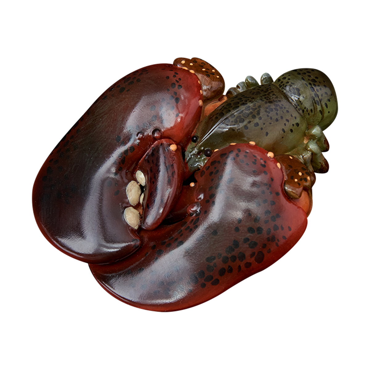 Animal Planet A Series of Laugh and Grow Fat 06 Model