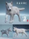 Arctic Wolf Family Model