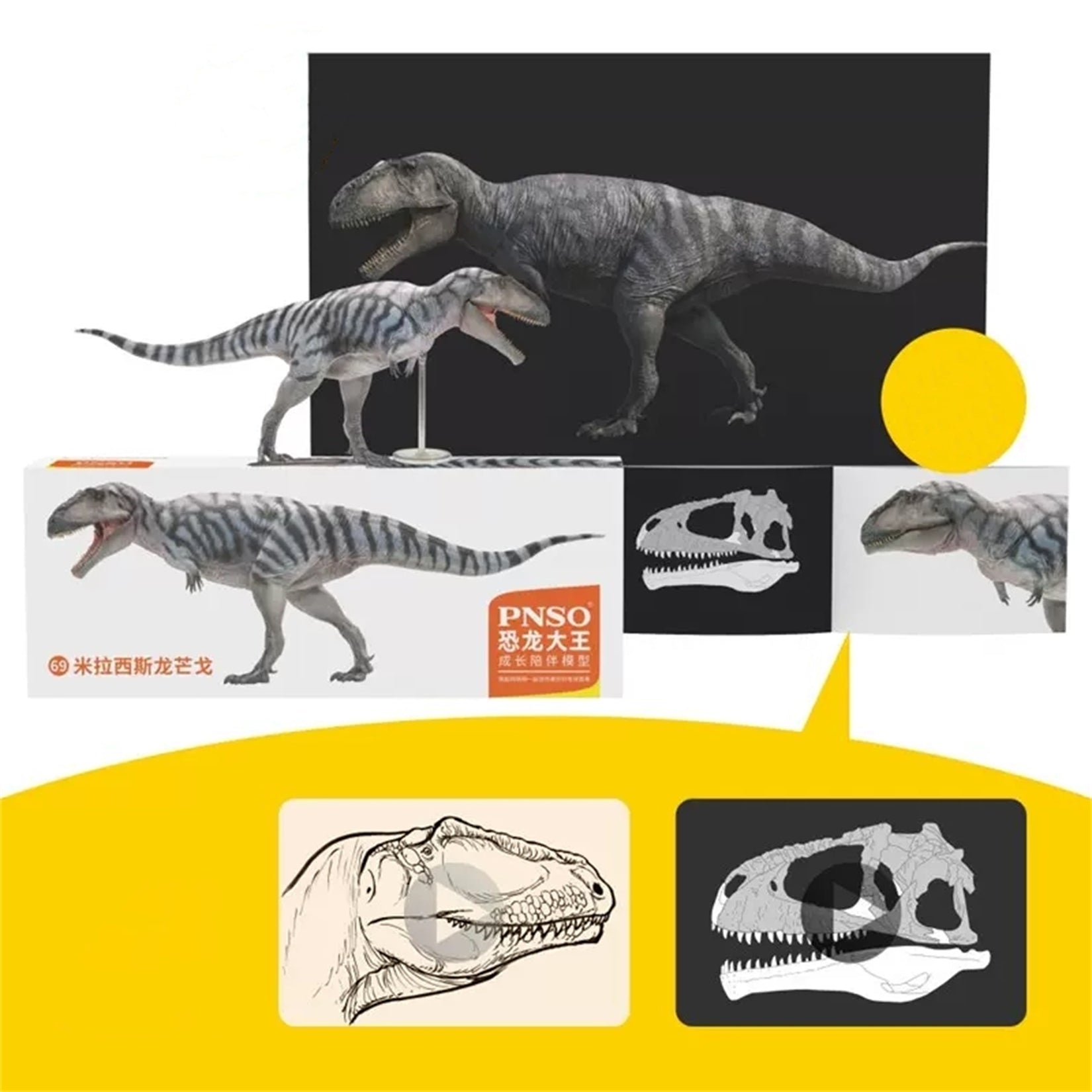 PNSO Meraxes Mungo Model