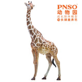 PNSO Giraffe Model