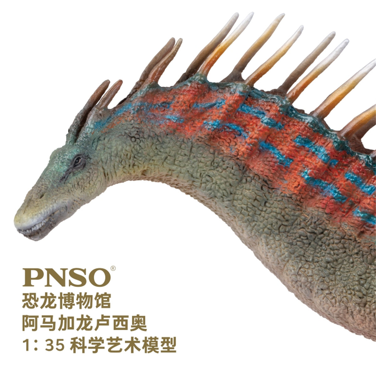 PNSO 1/35 New Painted Amargasaurus Model