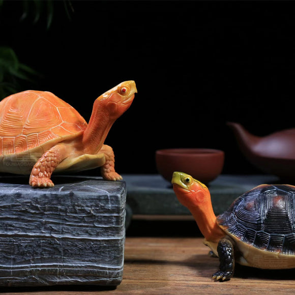 Yellow-margined Box Turtle Model