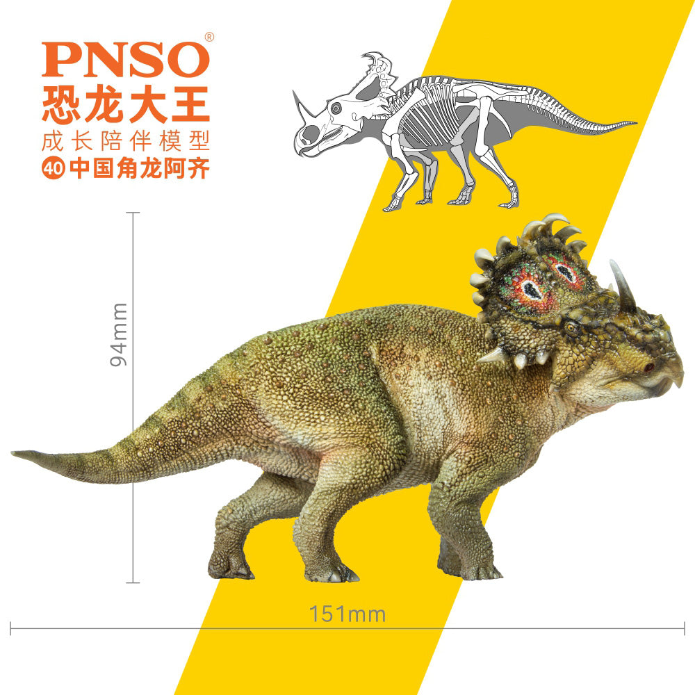 PNSO Sinoceratops Model