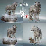 Arctic Wolf Family Model