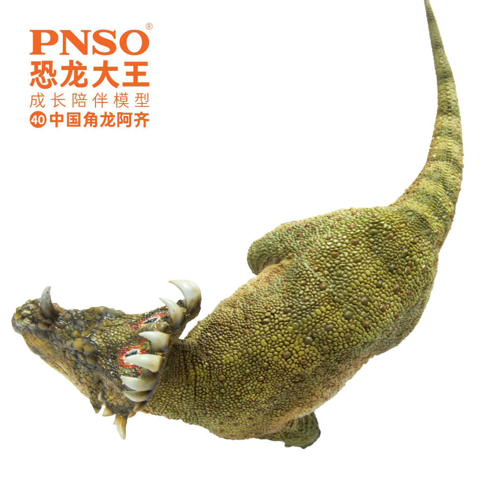 PNSO Sinoceratops Model