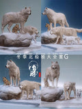 Arctic Wolf Family Model