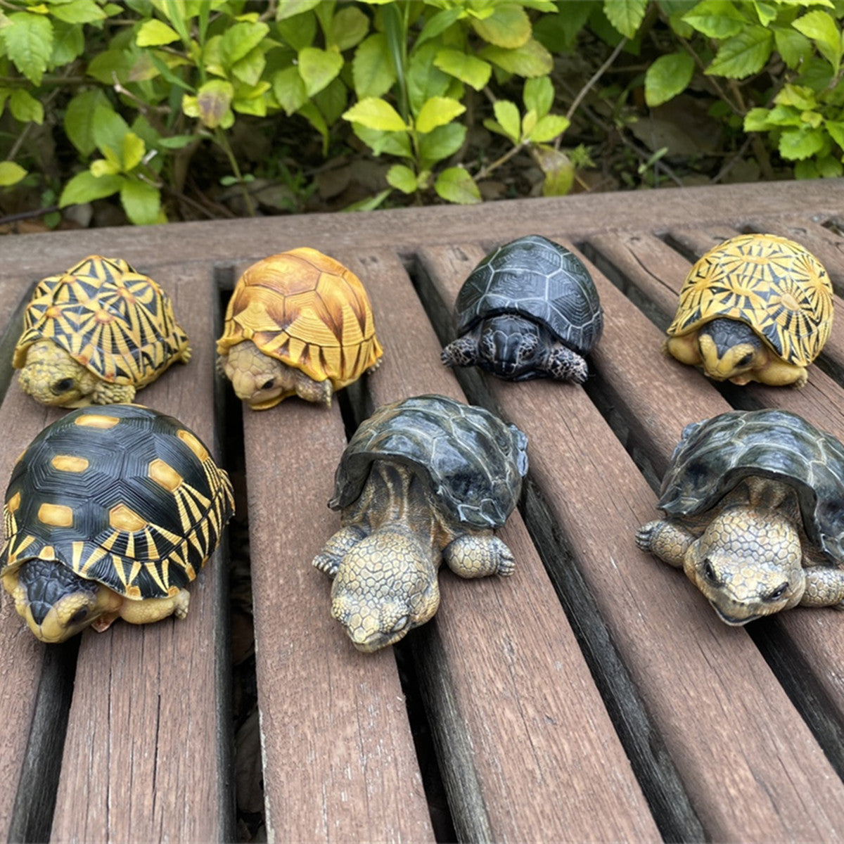 Mini Turtle Model