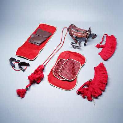 Mr.z 1/6th Thoroughbreds Figure