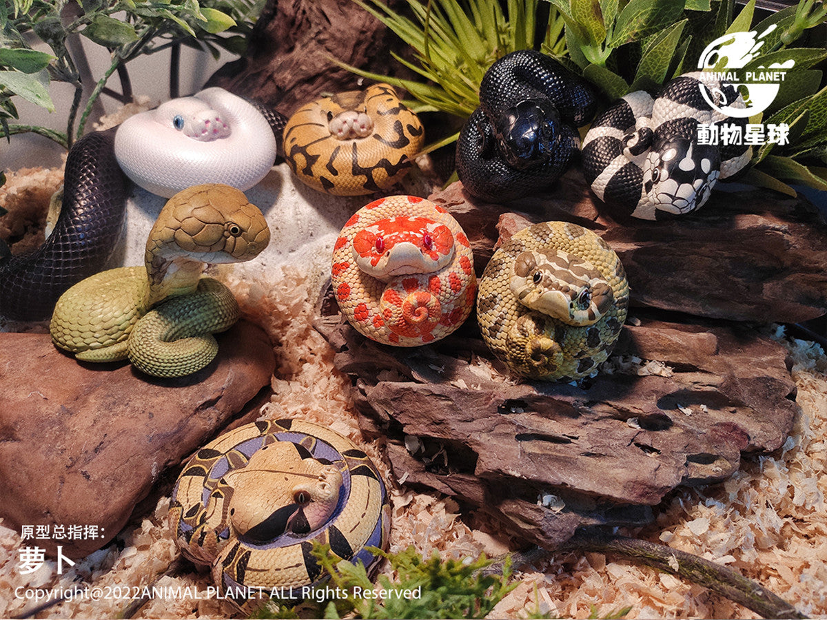 Animal Planet A Series of Laugh and Grow Fat 05 Snake