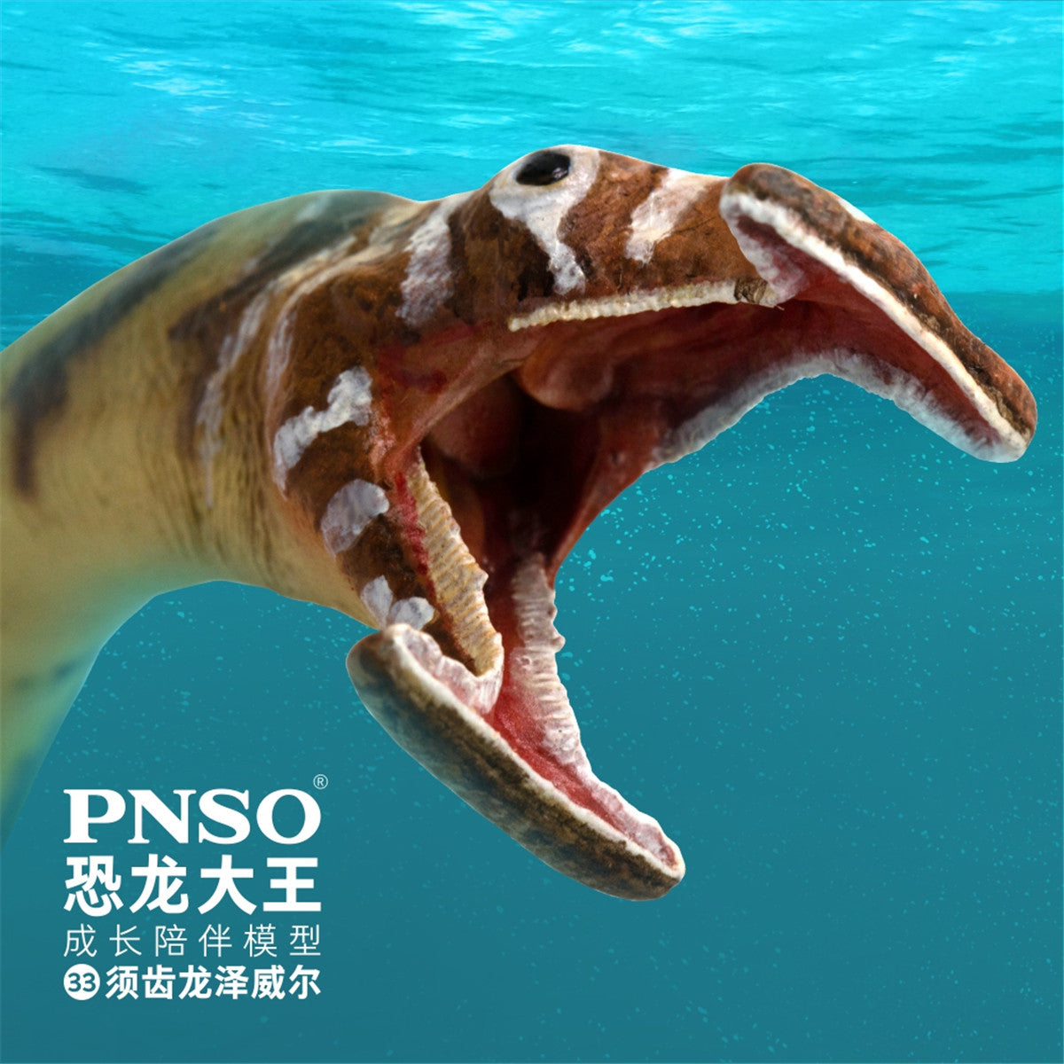 PNSO Atopodentatus Unicus Model