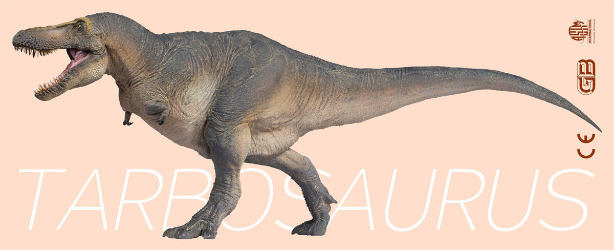 PNSO Tarbosaurus Chuanzi Model