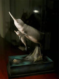Yangtze River Dolphin Scene Statue