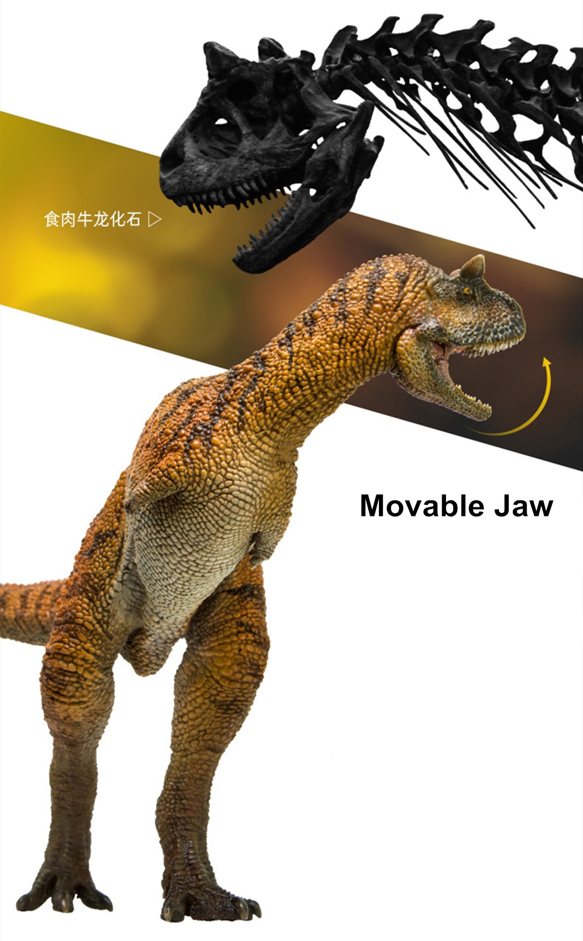 PNSO Carnotaurus Model