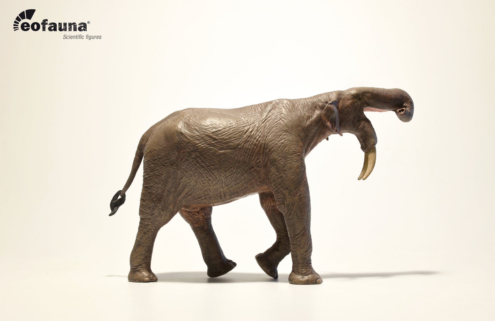 Eofauna 1:35 Scale Deinotherium Figure – Lana Time Shop