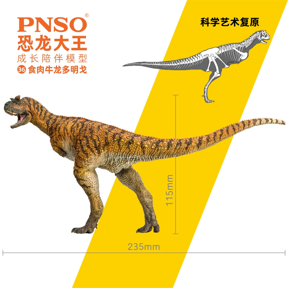PNSO Carnotaurus Model