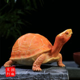 Yellow-margined Box Turtle Model