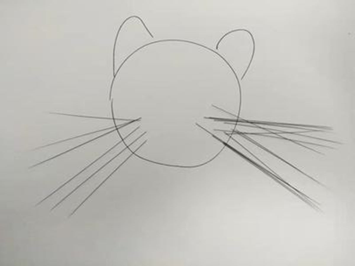 1:6 Sumatran Tiger Model