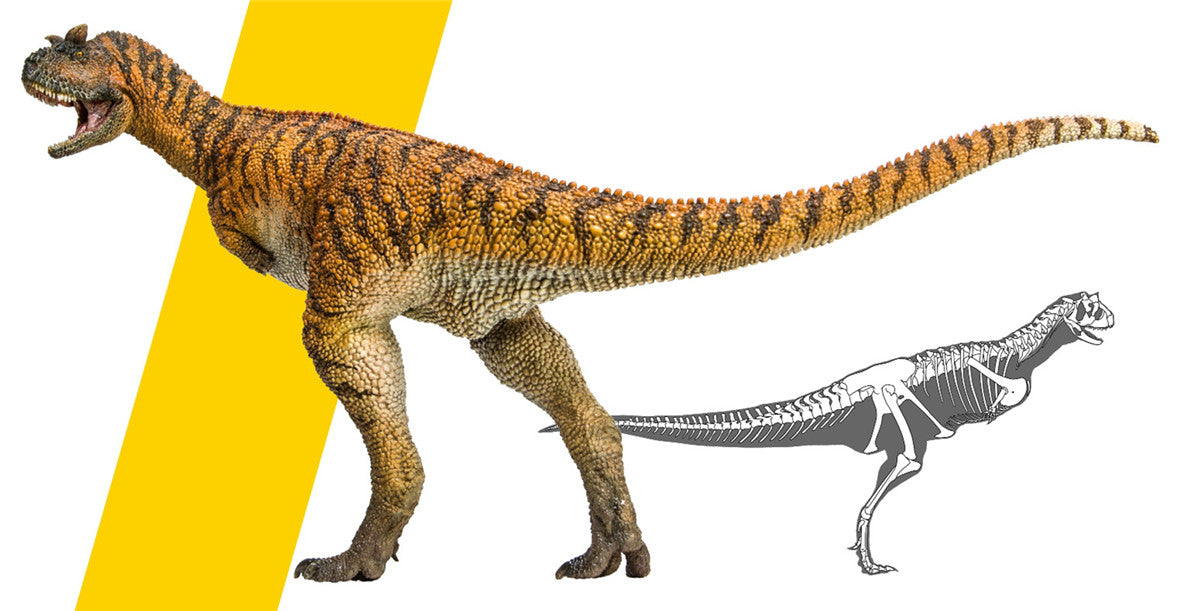 PNSO Carnotaurus Model