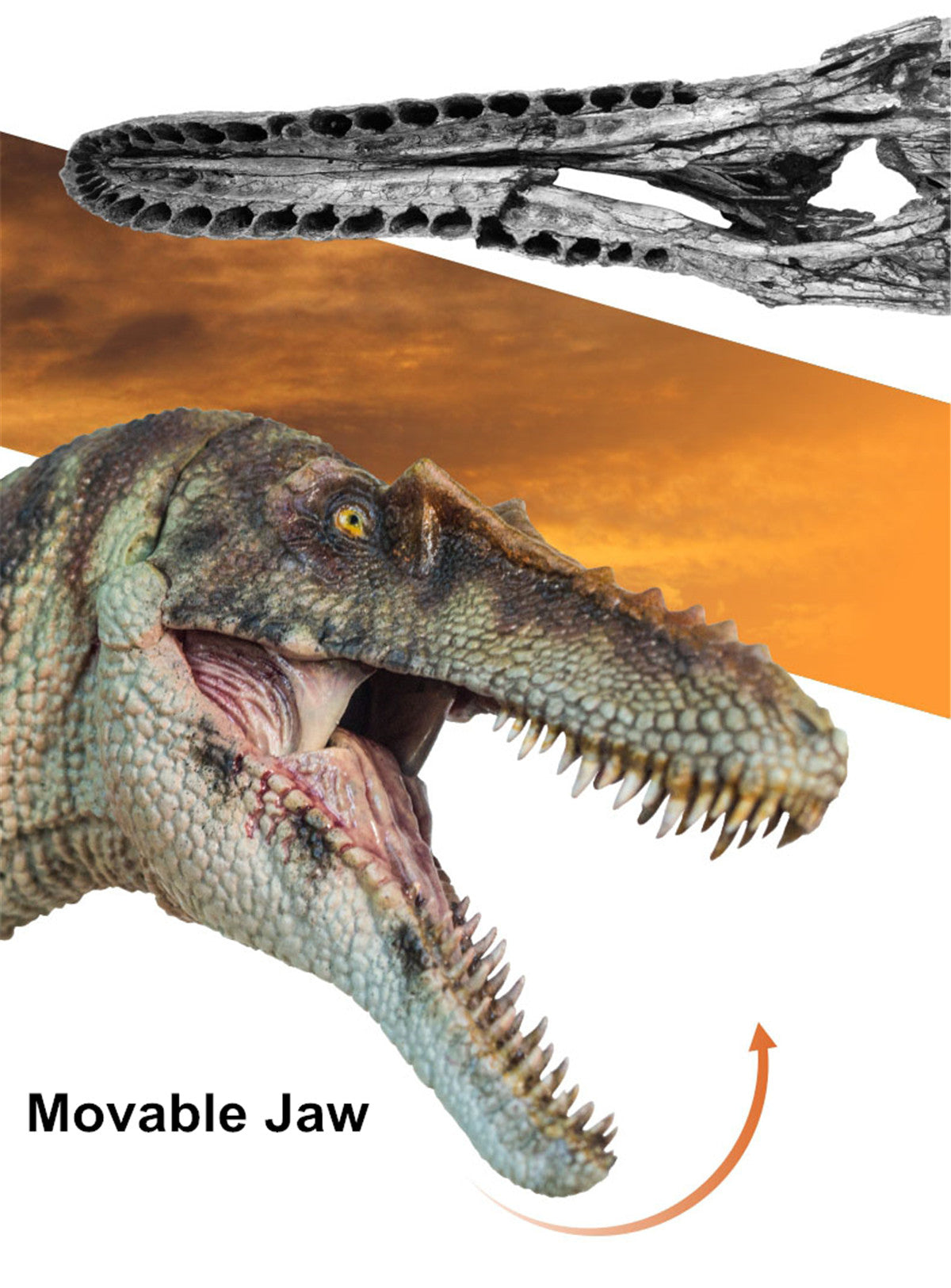 PNSO Qianzhousaurus Sinensis Model