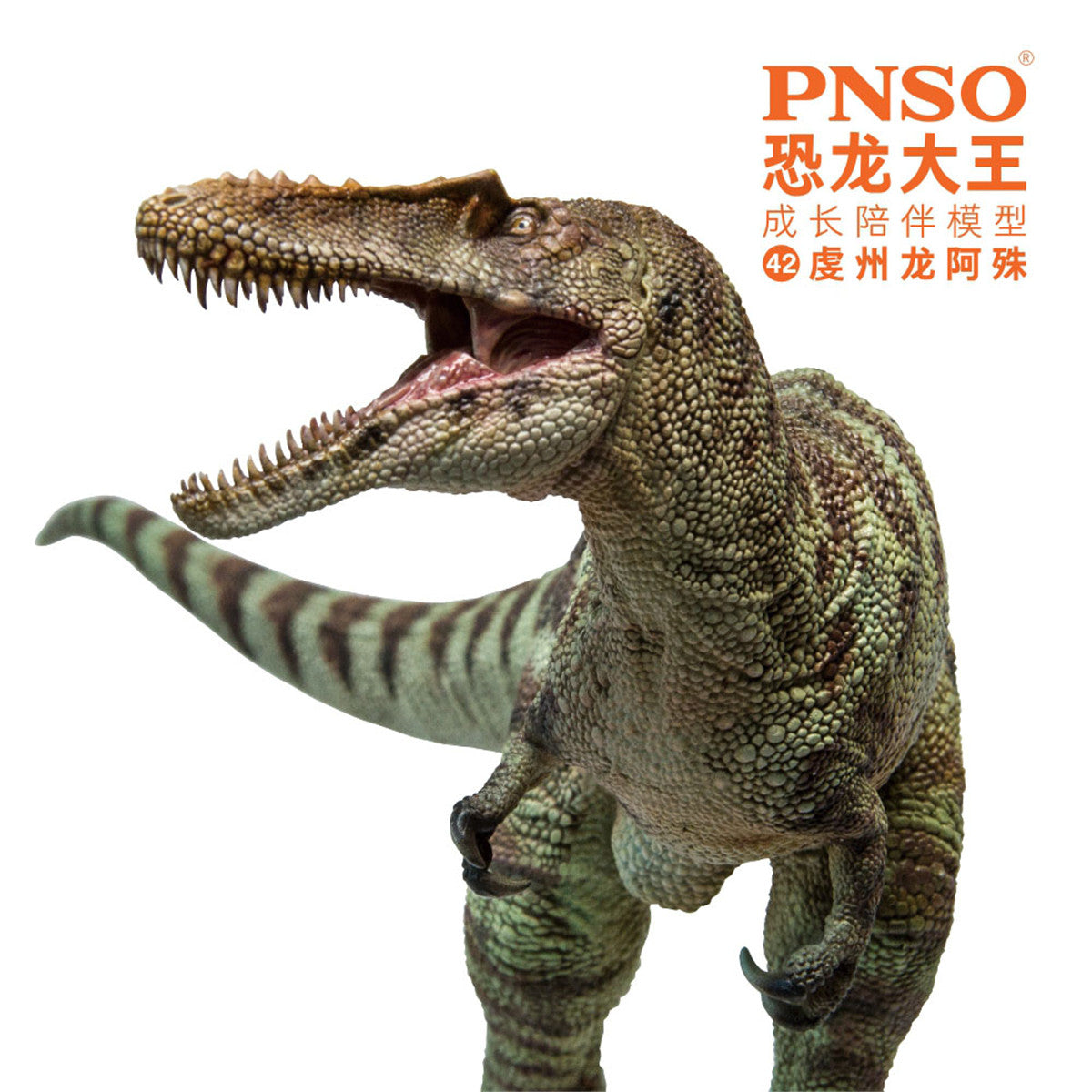 PNSO Qianzhousaurus Sinensis Model