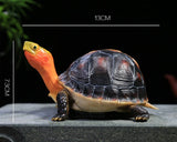 Yellow-margined Box Turtle Model