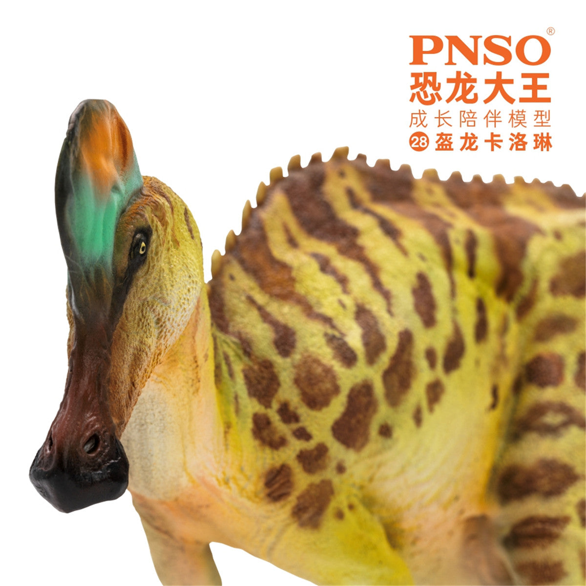 PNSO Corythosaurus Model