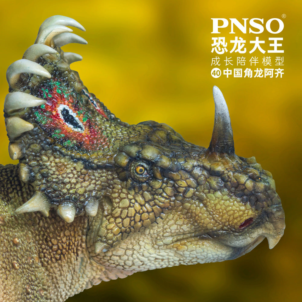 PNSO Sinoceratops Model
