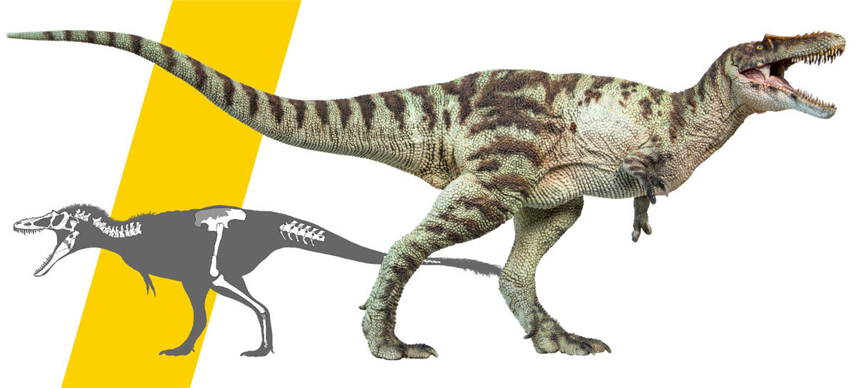 PNSO Qianzhousaurus Sinensis Model