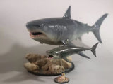 Rheic 1/35 Megalodon Statue