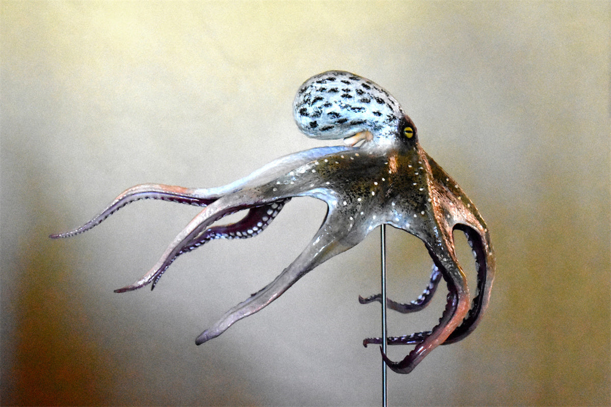 Rheic Giant Pacific Octopus Model