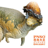 PNSO Pachycephalosaurus Austin Model