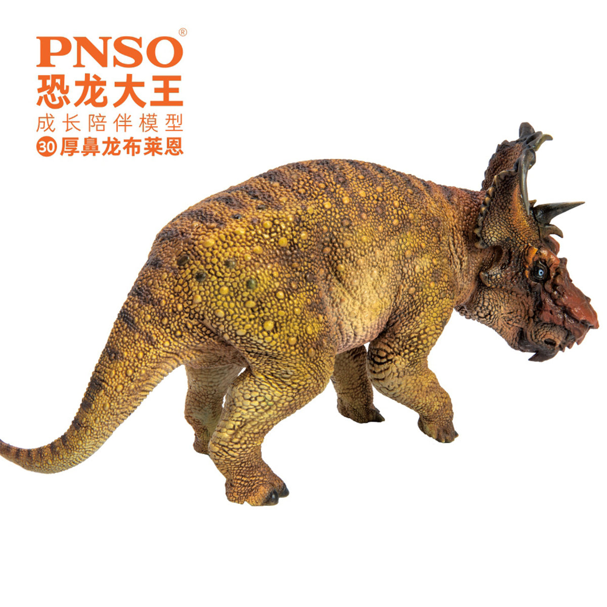 PNSO Pachyrhinosaurus Model