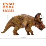 PNSO Pachyrhinosaurus Model