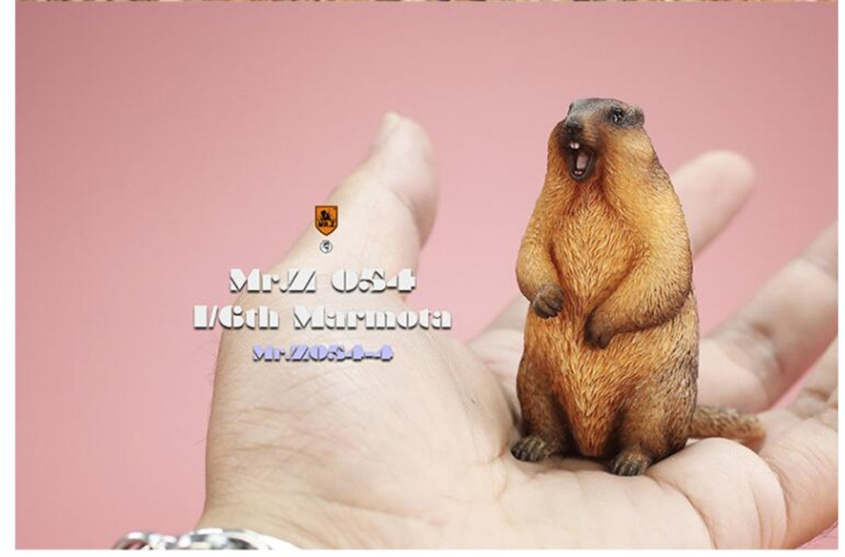 Mr.z 1/6 Marmota Figure
