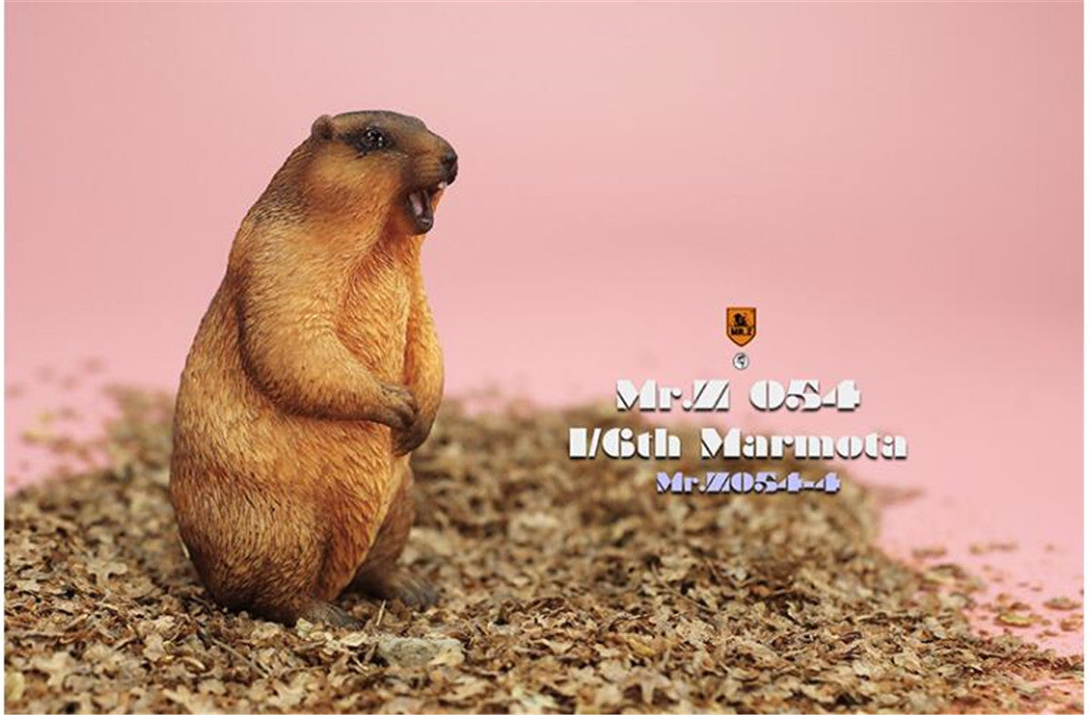 Mr.z 1/6 Marmota Figure