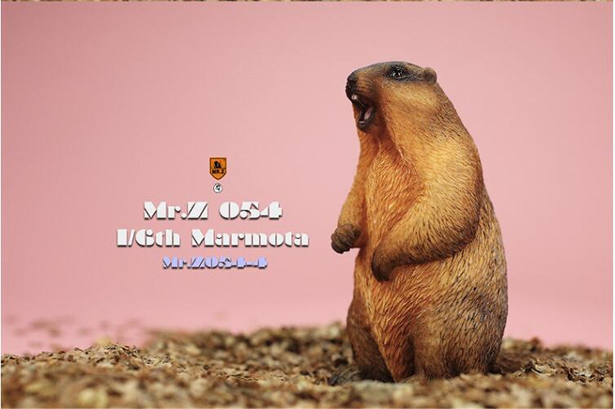 Mr.z 1/6 Marmota Figure