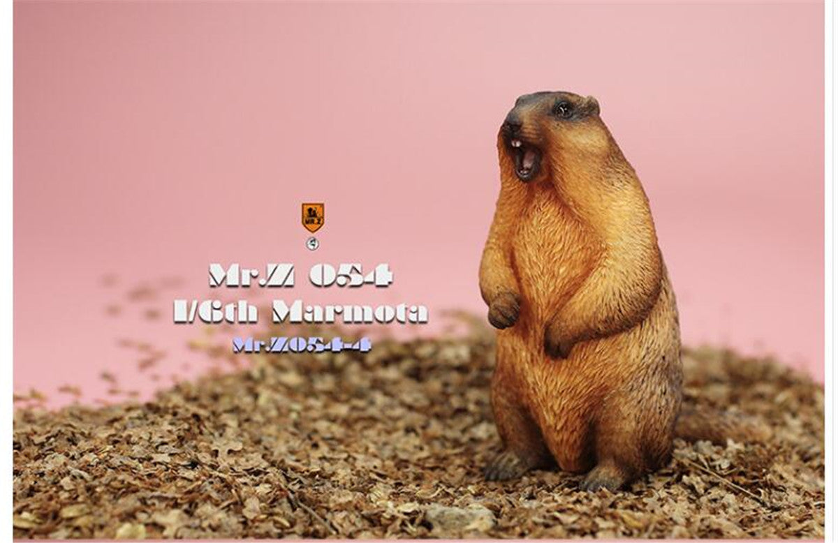 Mr.z 1/6 Marmota Figure