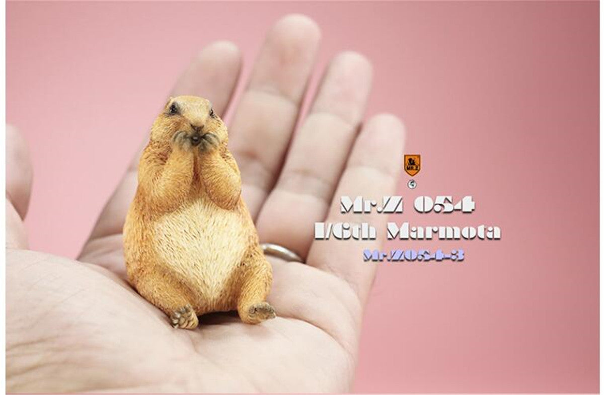 Mr.z 1/6 Marmota Figure