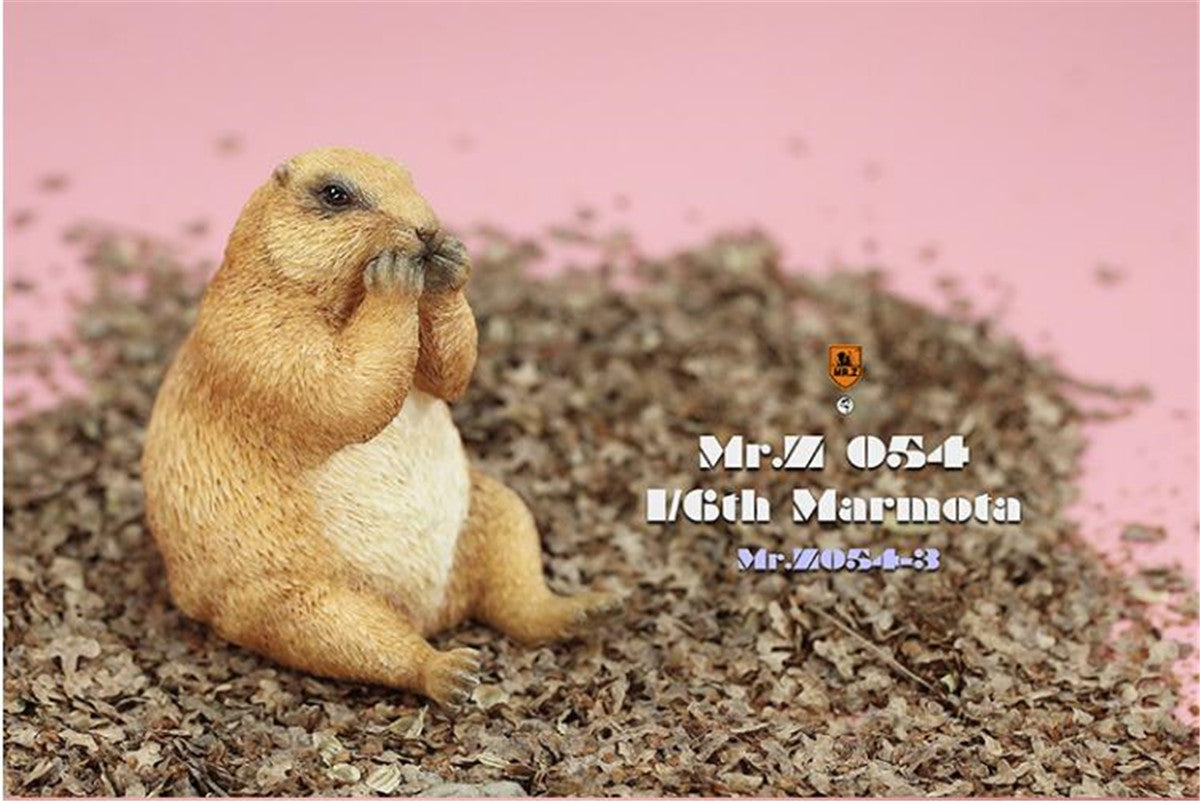 Mr.z 1/6 Marmota Figure