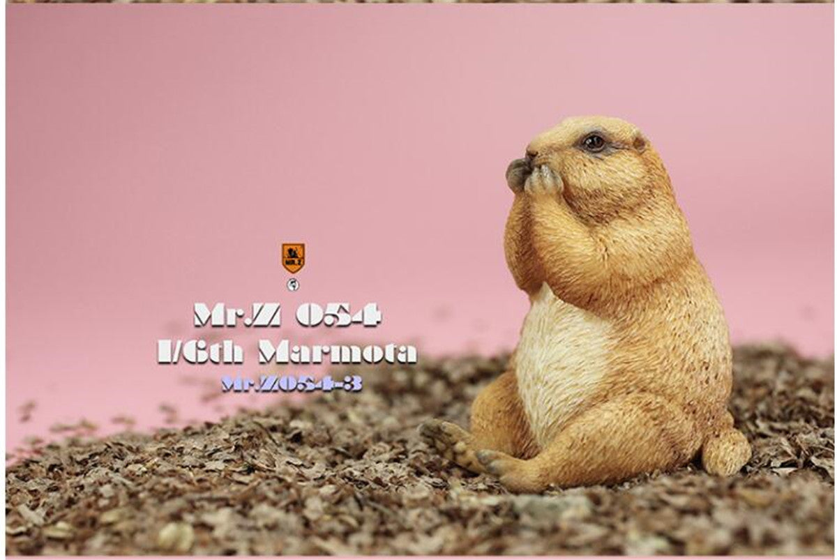 Mr.z 1/6 Marmota Figure