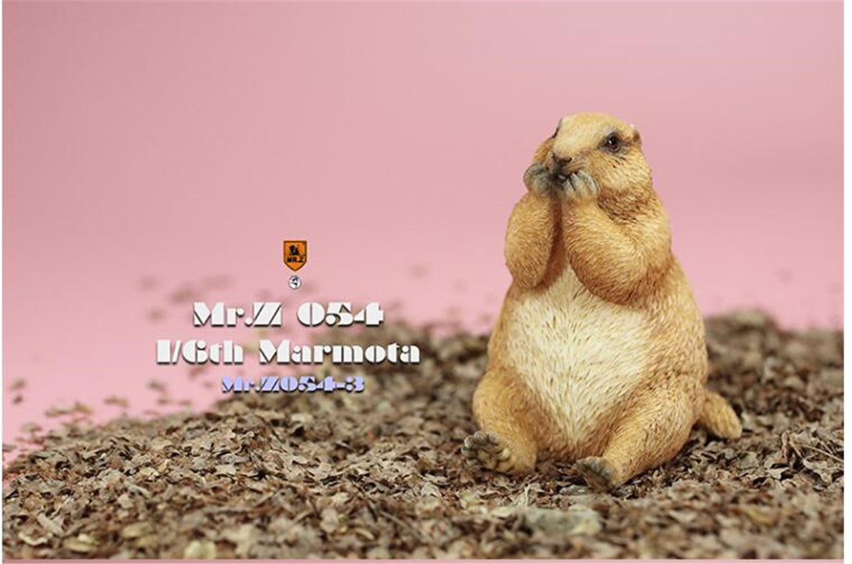 Mr.z 1/6 Marmota Figure