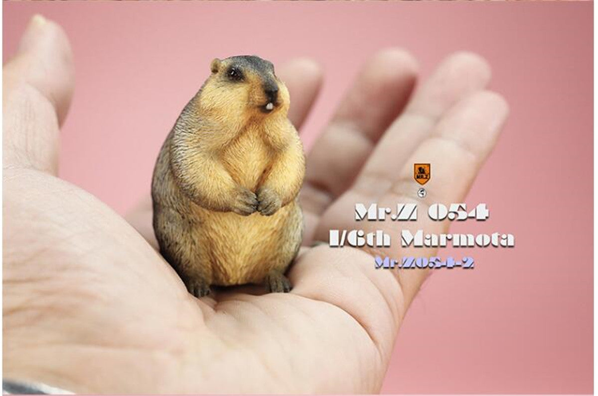 Mr.z 1/6 Marmota Figure