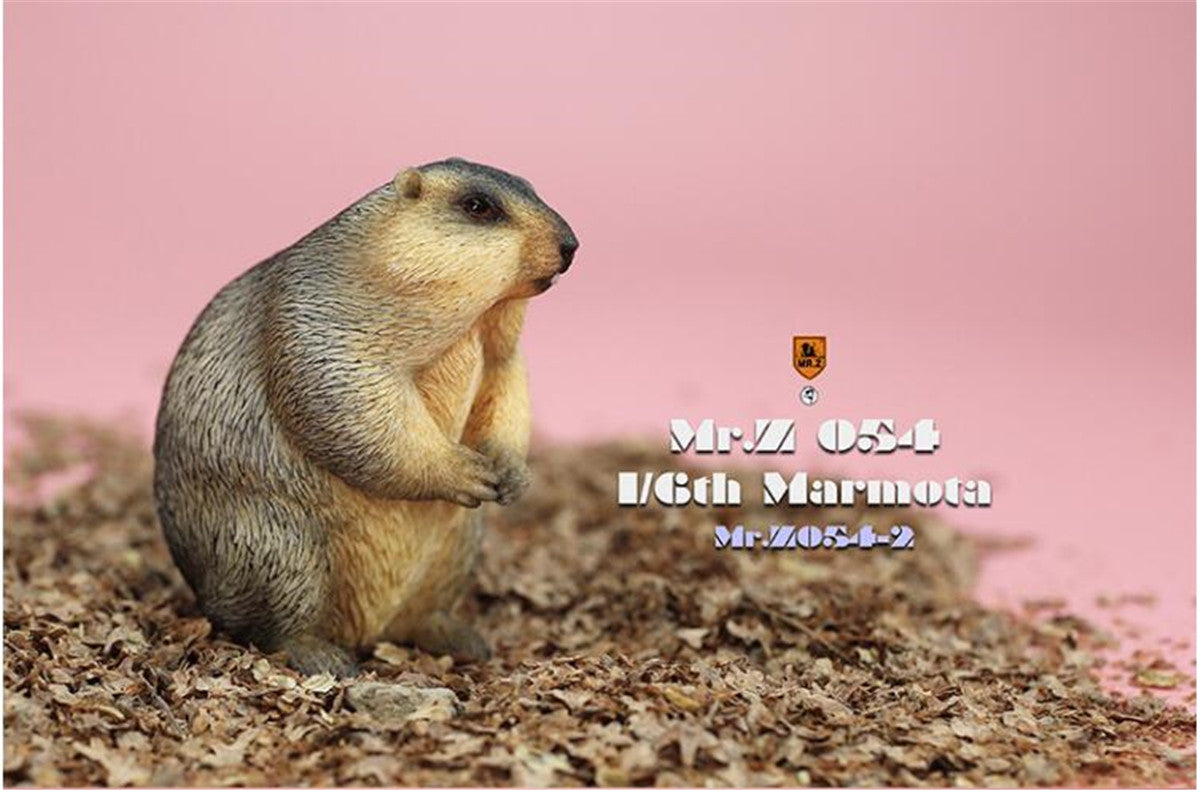 Mr.z 1/6 Marmota Figure