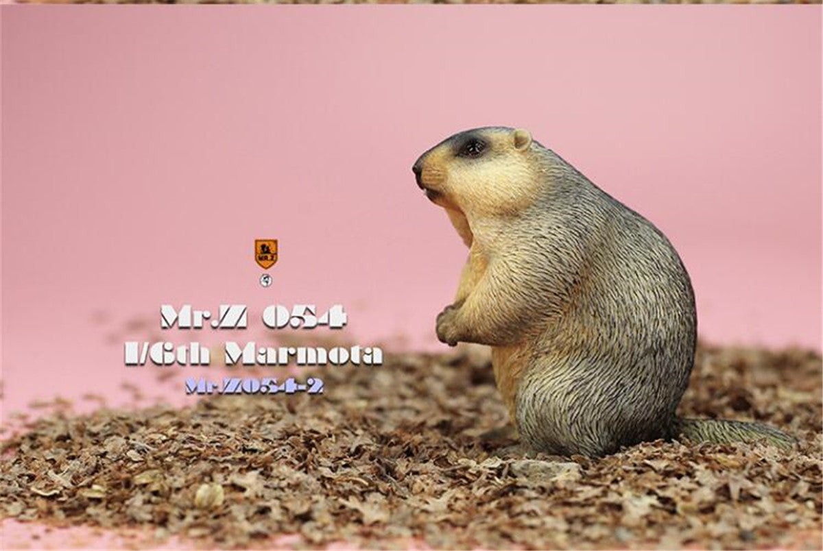 Mr.z 1/6 Marmota Figure